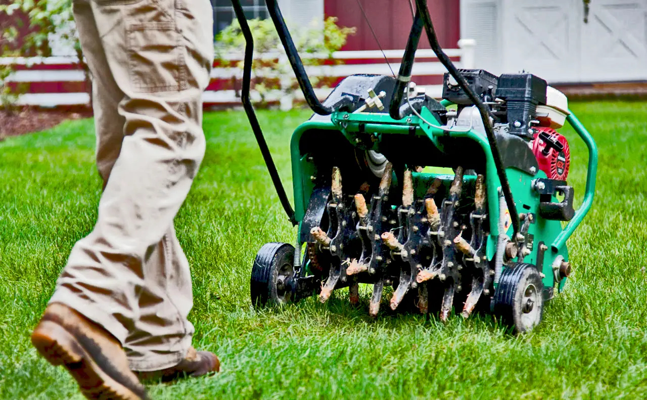 Aeration & Overseeding