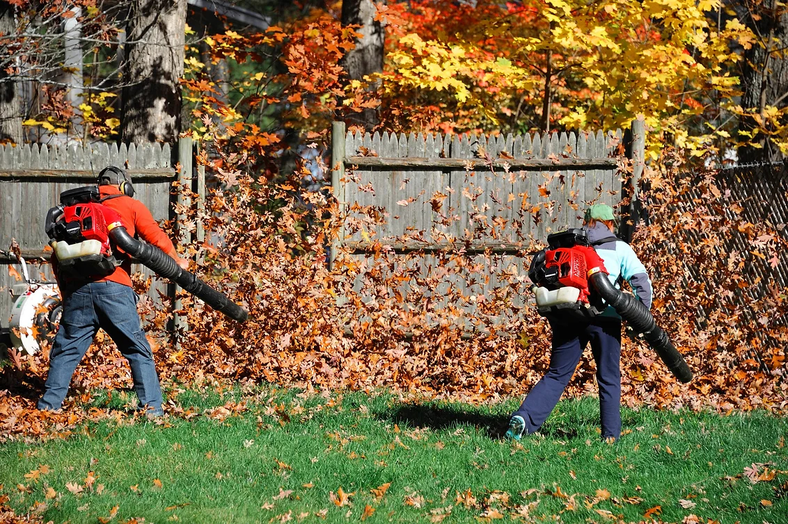 Property Cleanups